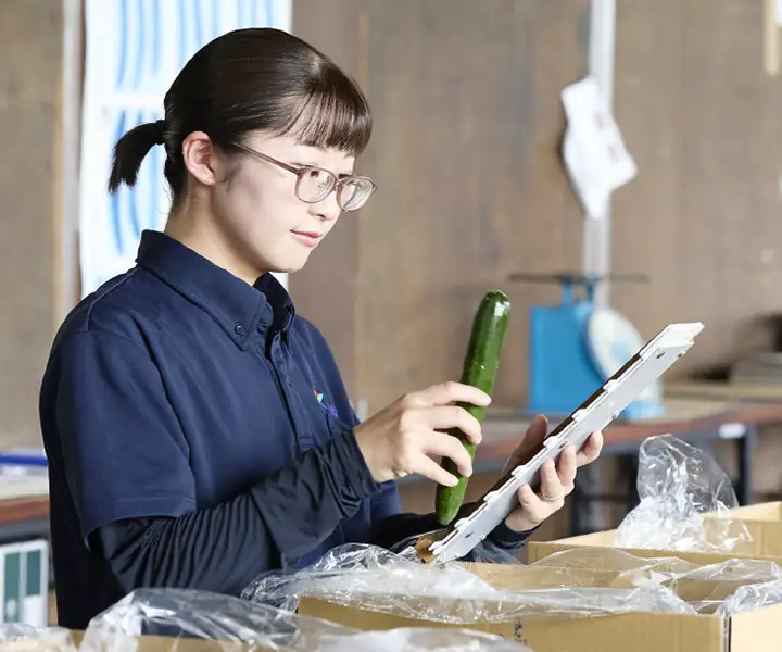 集荷場勤務・営農指導担当 横山美帆さん