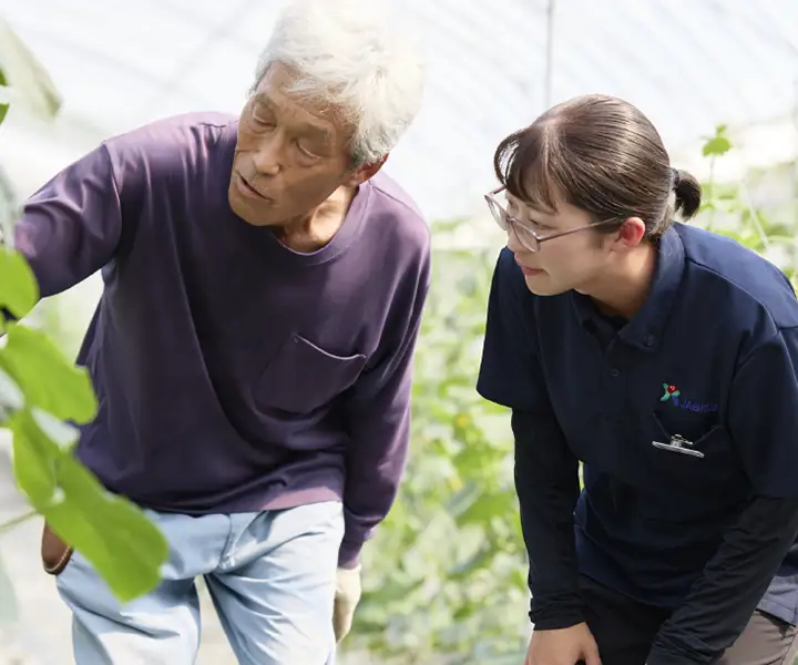 集荷場勤務・営農指導担当 横山美帆さん